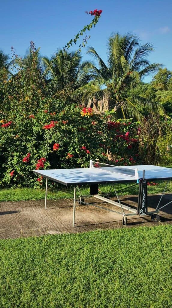 Ping pong table on the grounds of les Cayalines surrounded by tropical flowers and coconut palms