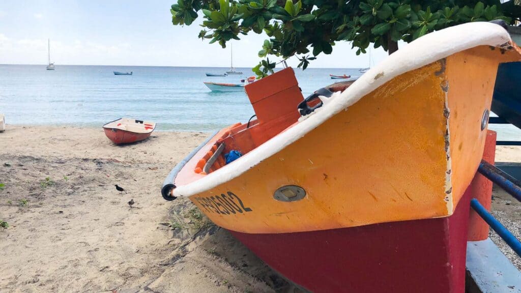 Colorful wooden fishing boats pulled up on a sandy beach in Martinique France