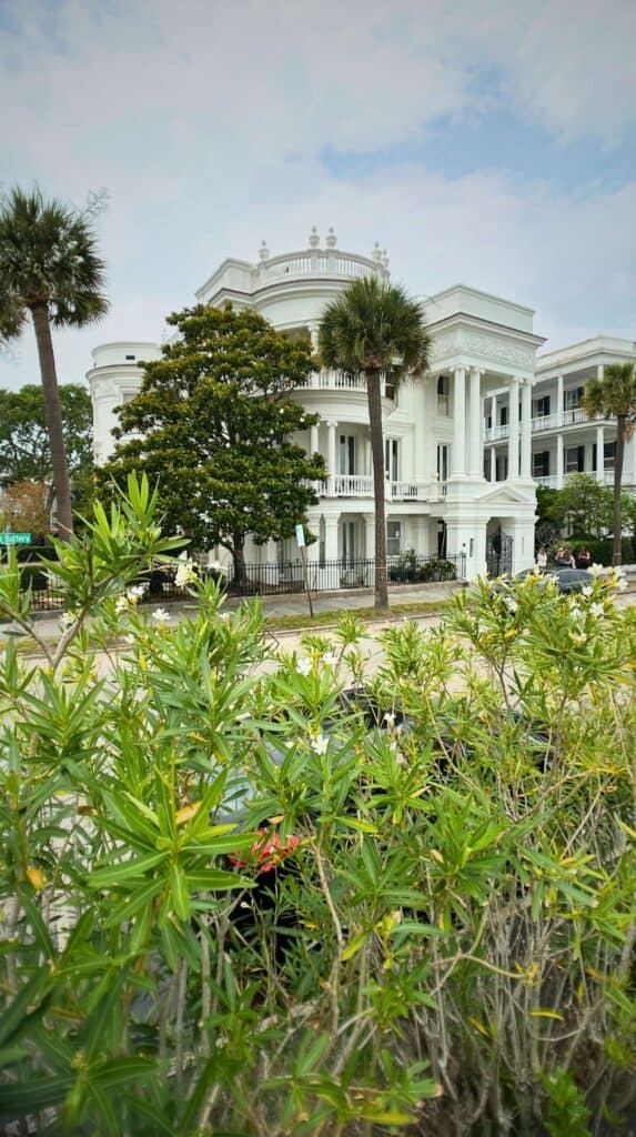 Grand white mansion along the Battery seen through flowering shrubs, a scenic stop for couples in Charleston
