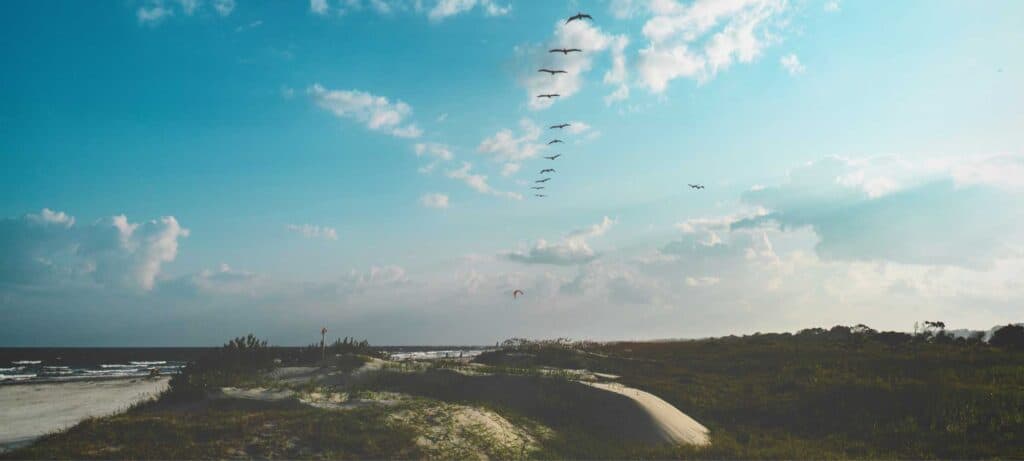 kiawah island beach near charleston