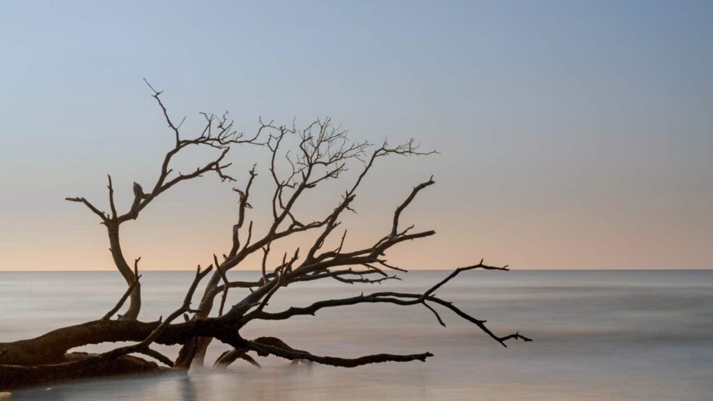 boneyard beach on bull island