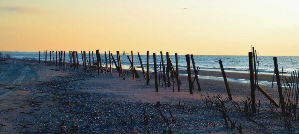 edisto beach near charleston sc