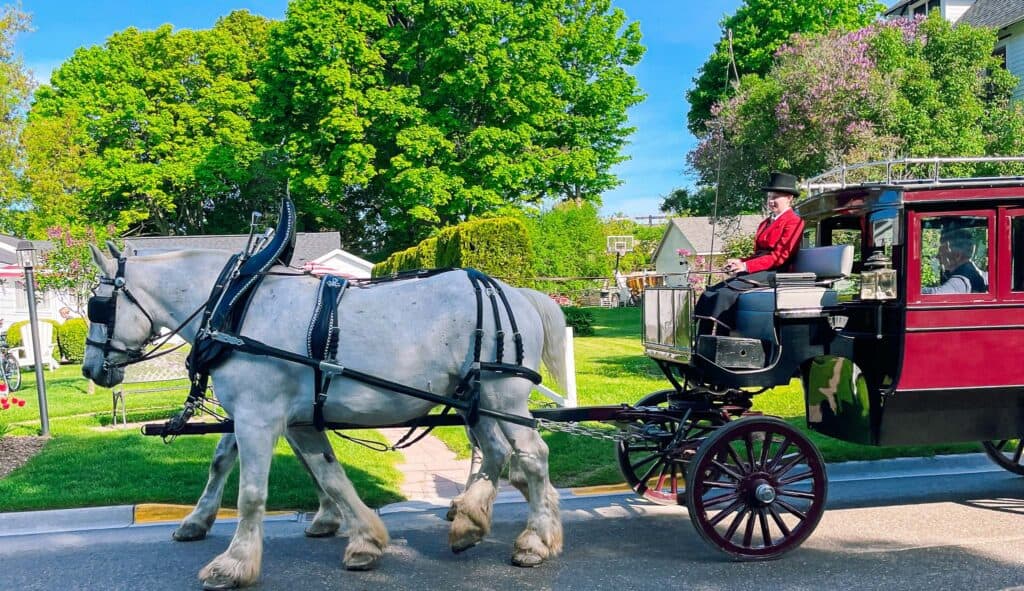 horses mackinac island