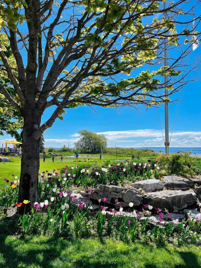 mackinac island guide pictures8