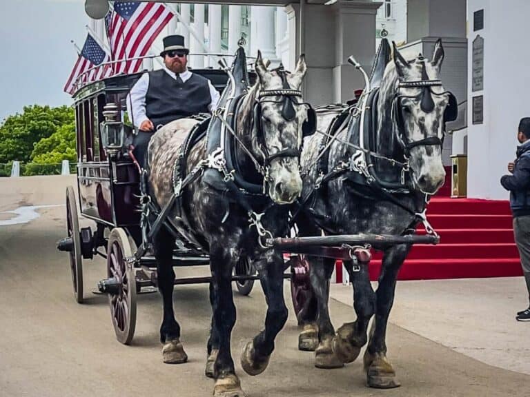 pictures of mackinac island
