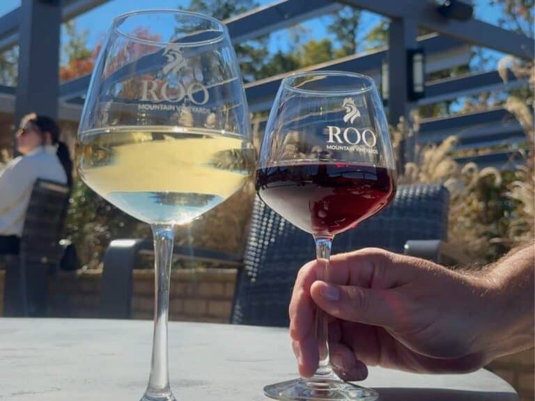 roo mountain vineyard ellijay georgia