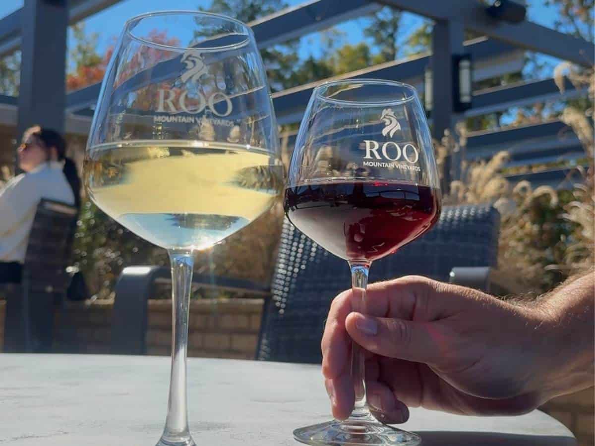 roo mountain vineyard ellijay georgia
