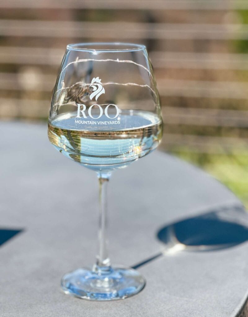 roo mountain vineyards ellijay georgia11