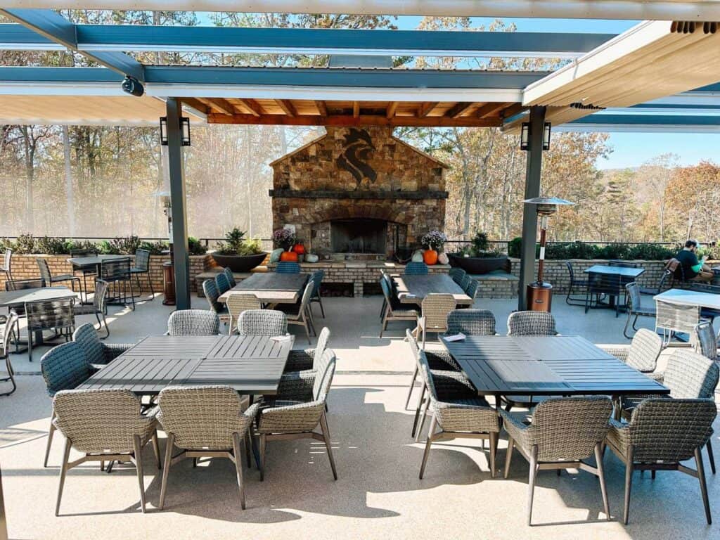 roo mountain vineyards ellijay georgia6