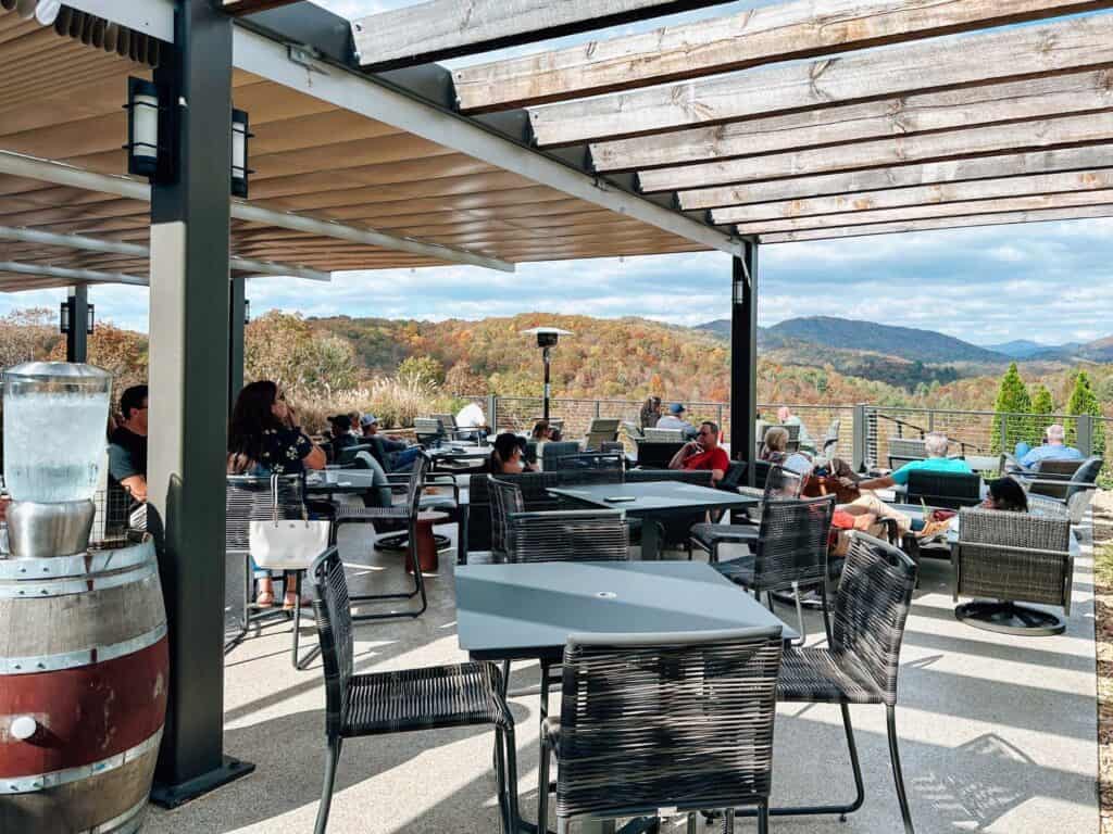 roo mountain vineyards ellijay georgia8