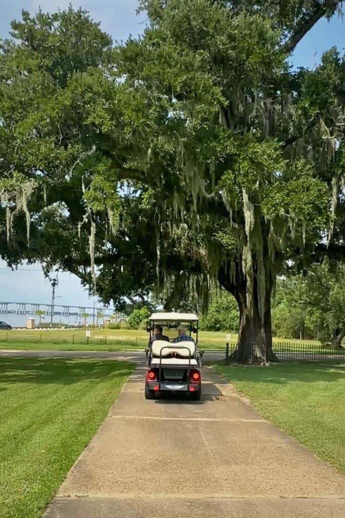 Golf cart driving along a paved path beneath large oak trees near the water in Ocean Springs Mississippi, highlighting a scenic and relaxed way to explore the area.