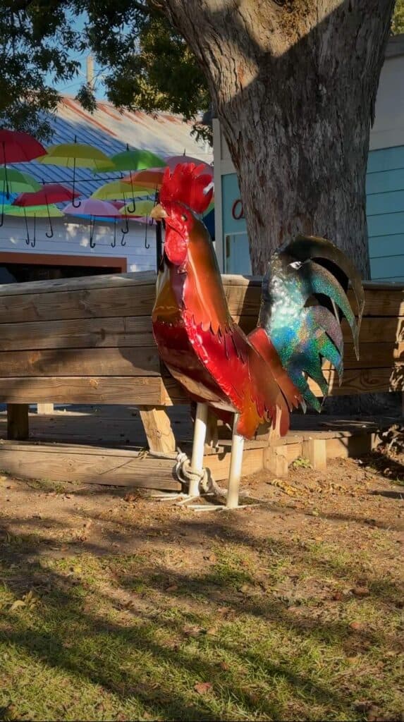 Brightly colored rooster statue standing near a bench under a tree in downtown Ocean Springs, reflecting the town’s rooster mascot theme.