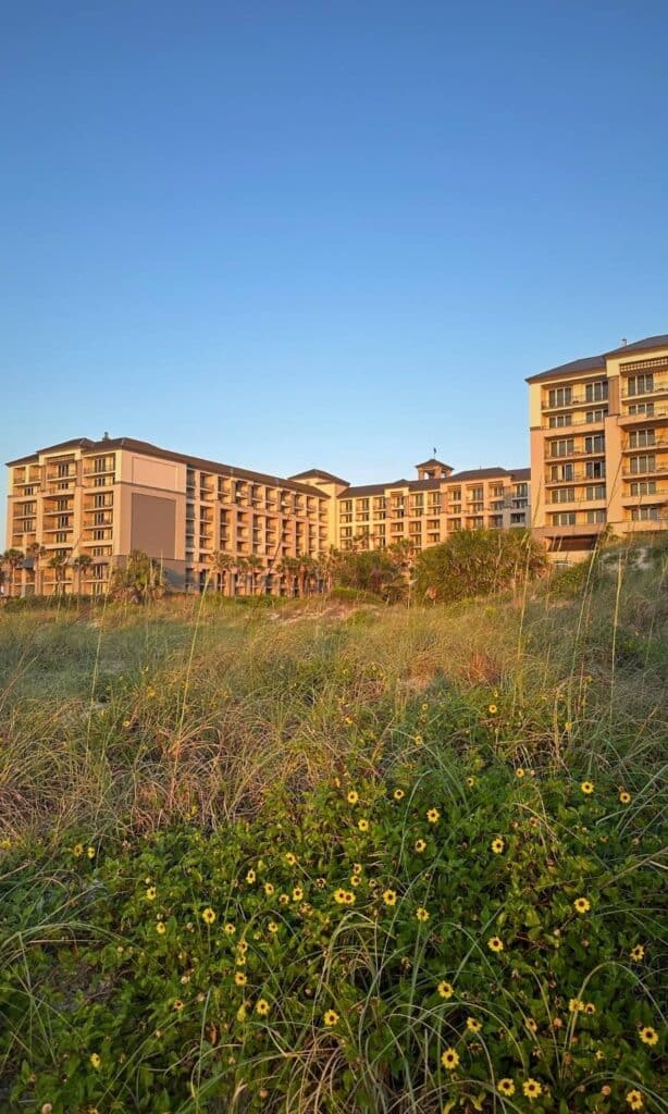 ritz carlton amelia island