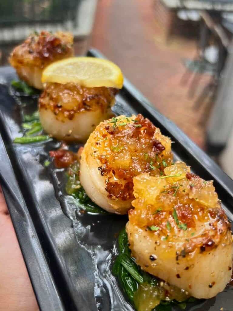 Seared scallops over greens on a black plate at Maison de Lu, a refined best restaurant Ocean Springs, MS for date night.