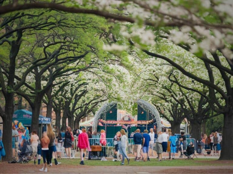 southern festival cities