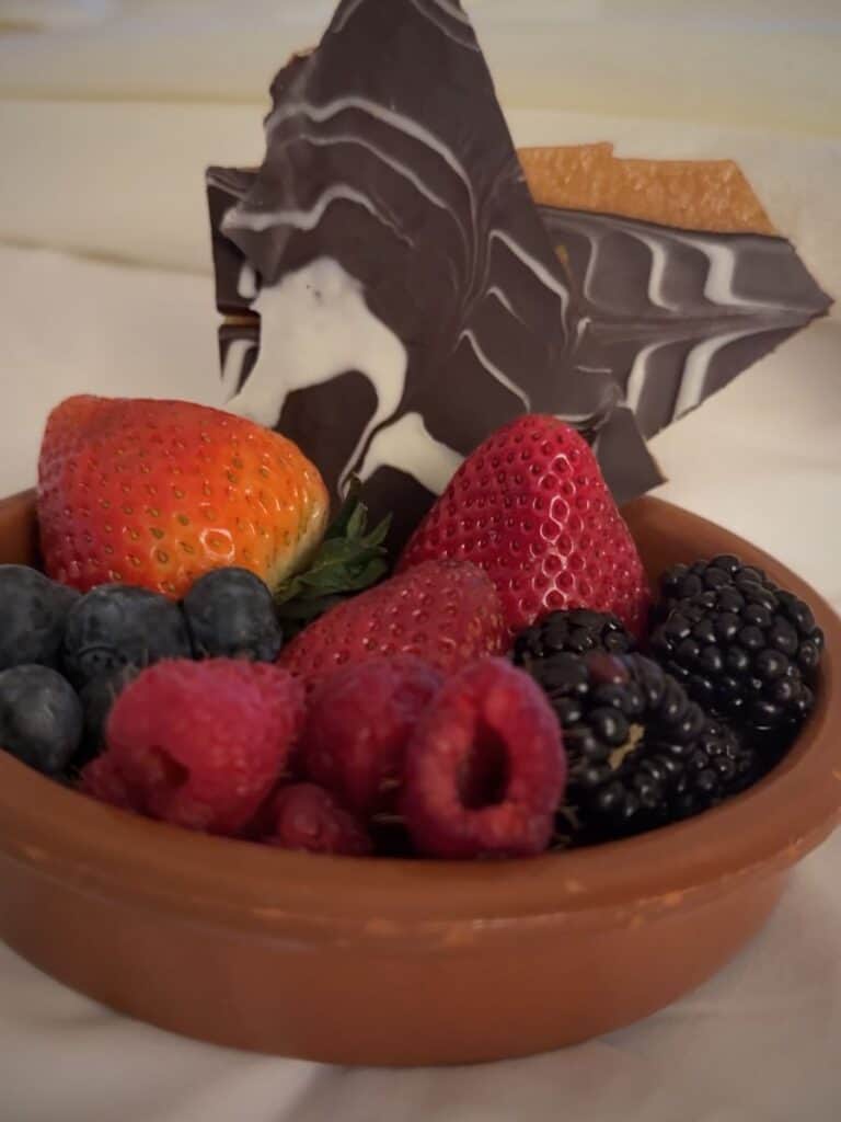 Fresh berries and a chocolate Texas garnish that made the Hotel Emma prices feel worth every penny