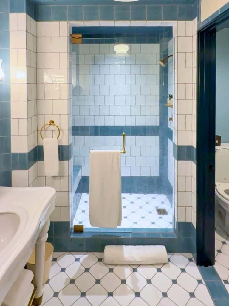 Glass shower with handmade blue and white Spanish tile in a Hotel Emma guest bathroom