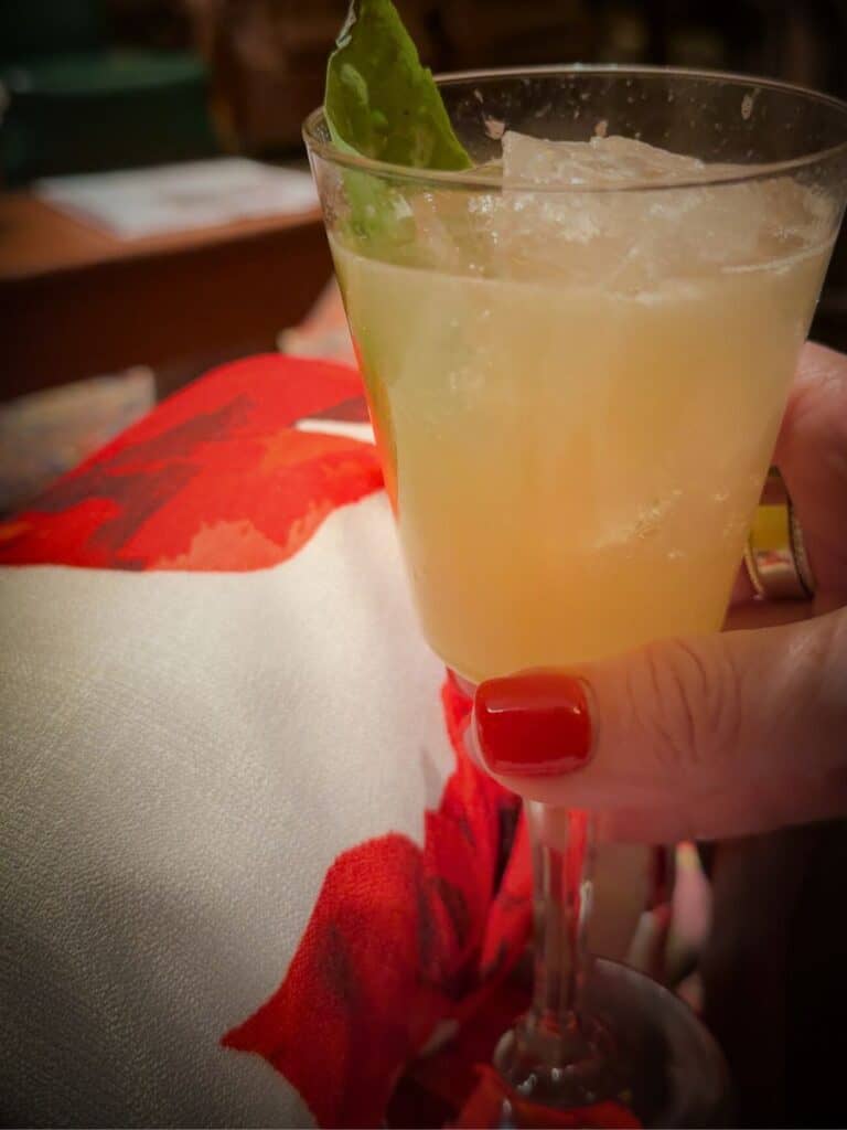 A crushed-ice craft cocktail with lime, the kind of drink Hotel Emma reviews rave about