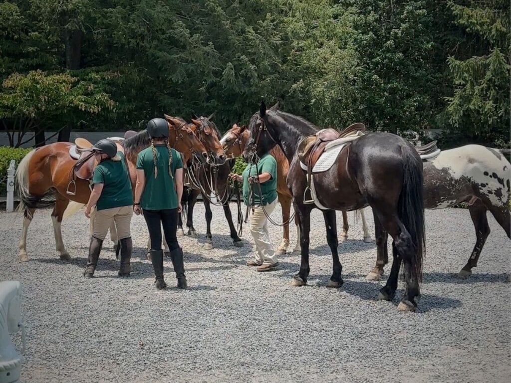 things to do at the greenbrier horseback riding