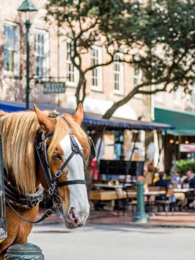 savannah romantic fall getaways