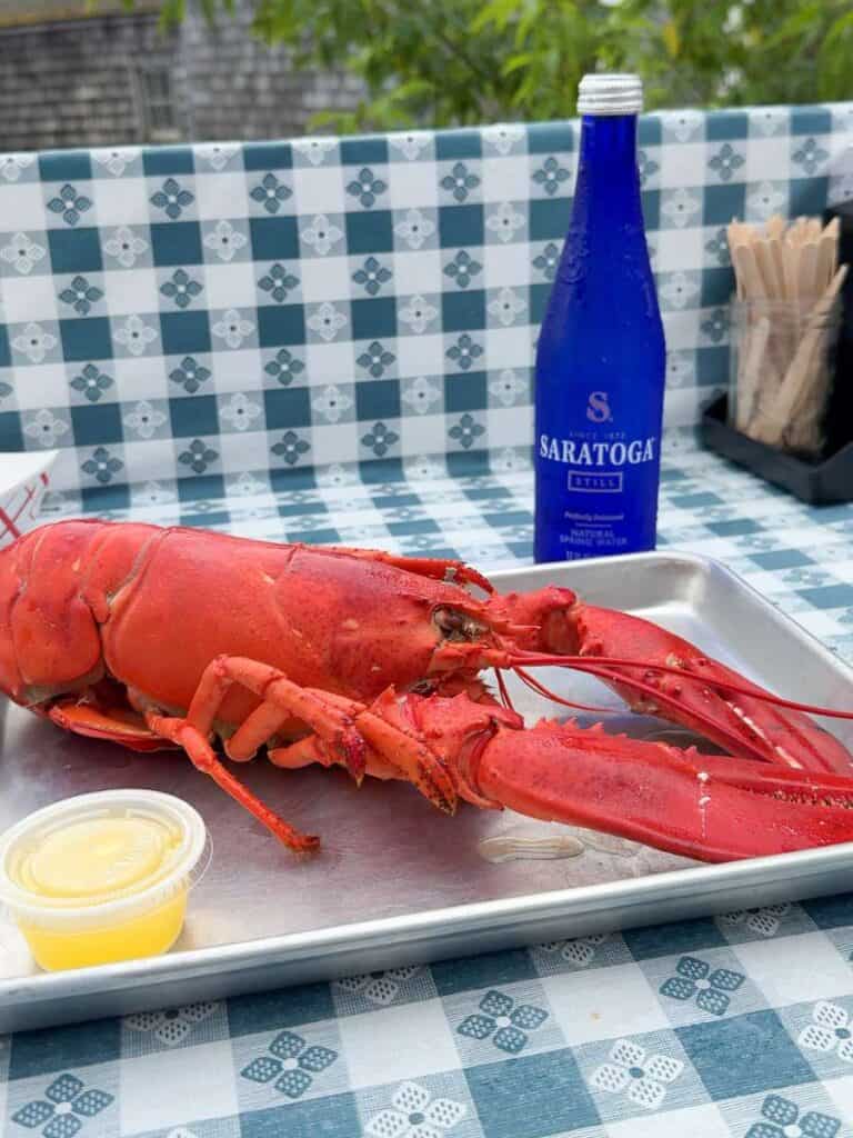 lobster at roy moore lobster rockport massachusetts