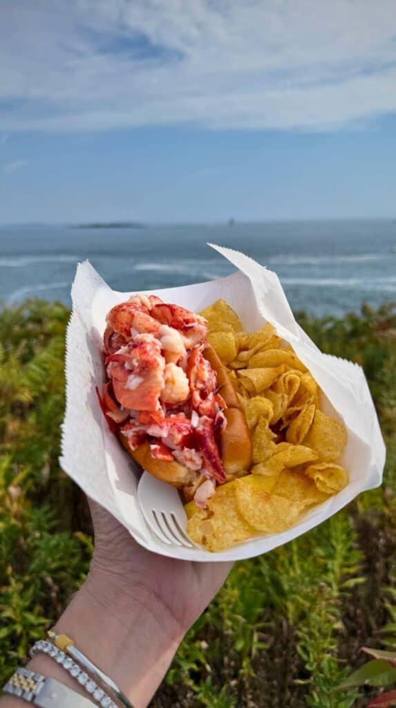 A fresh lobster roll and fries enjoyed with a coastal Maine view
