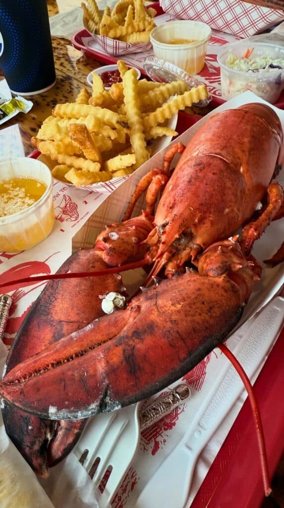 A whole steamed lobster with fries at a Cape Elizabeth seafood shack
