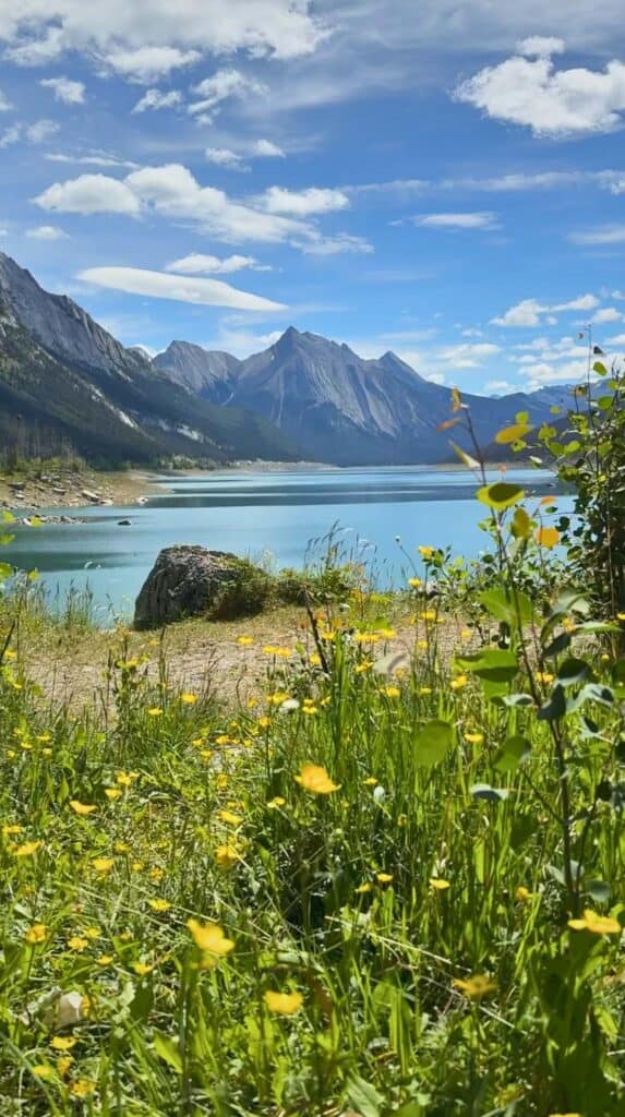 Wildflowers in the foreground with blue water and mountain peaks at Medicine Lake near Maligne Lake.