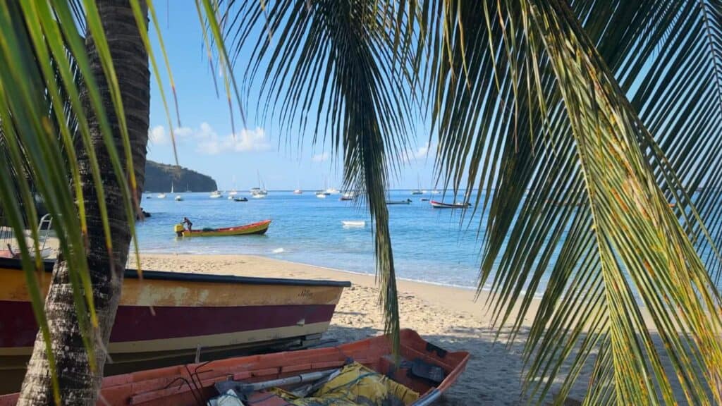 Colorful fishing boats on a palm-fringed beach near vacation rentals in Martinique on the eastern coast