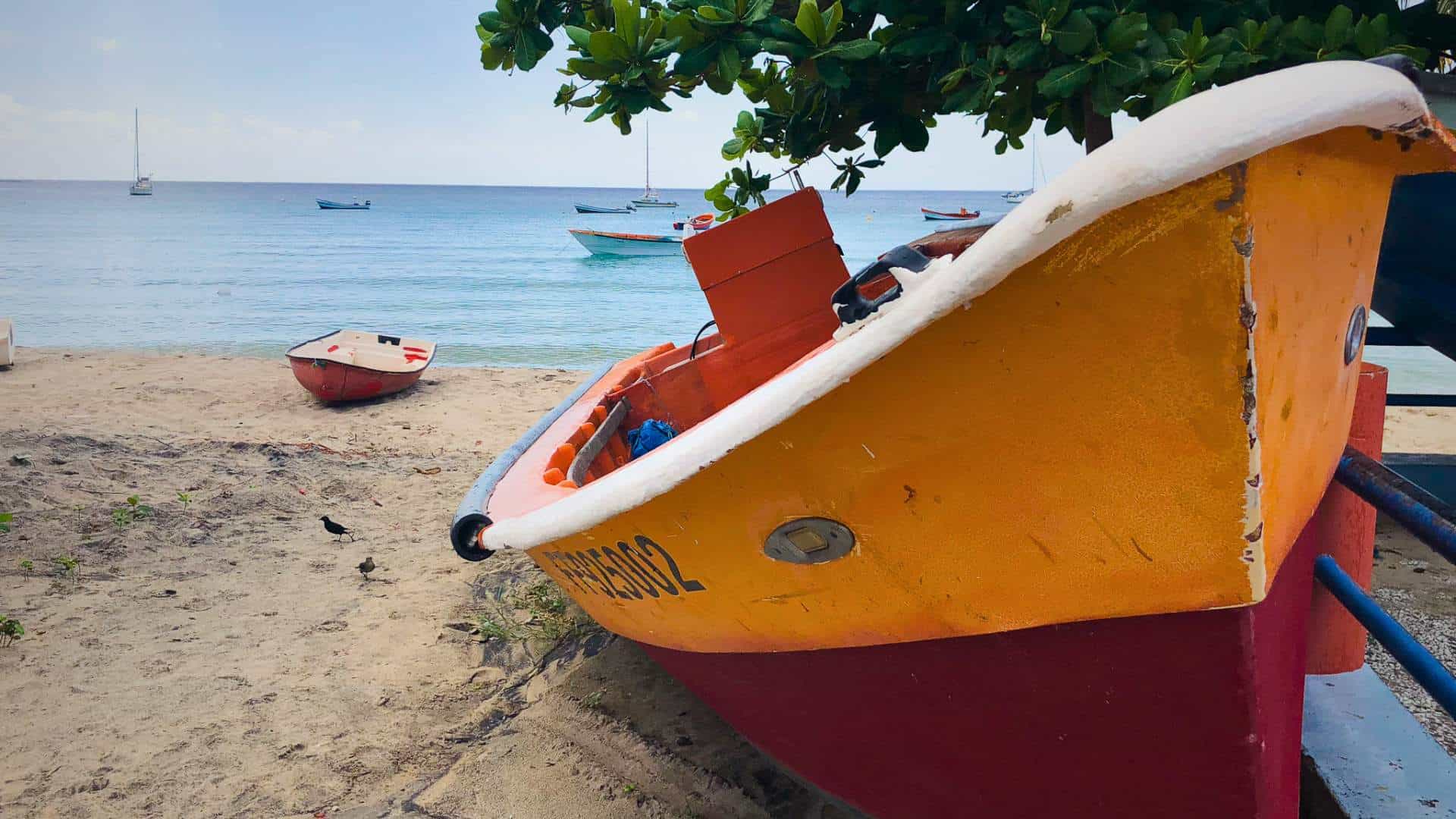 Where to Stay in Martinique: Best Areas, Hotels & Vacation Rentals