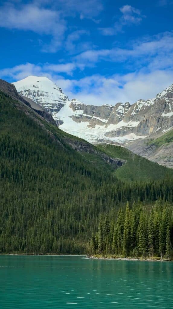Turquoise water of Maligne Lake with dense pine forest and snow capped mountains rising under a blue sky during a Maligne Lake cruise.