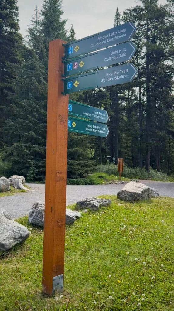 Trail sign at Maligne Lake showing "Moose Lake Loop" "Bald Hills" "Skyline Trail" and "Mary Sch&auml;ffer Loop" with arrows in a forested area.