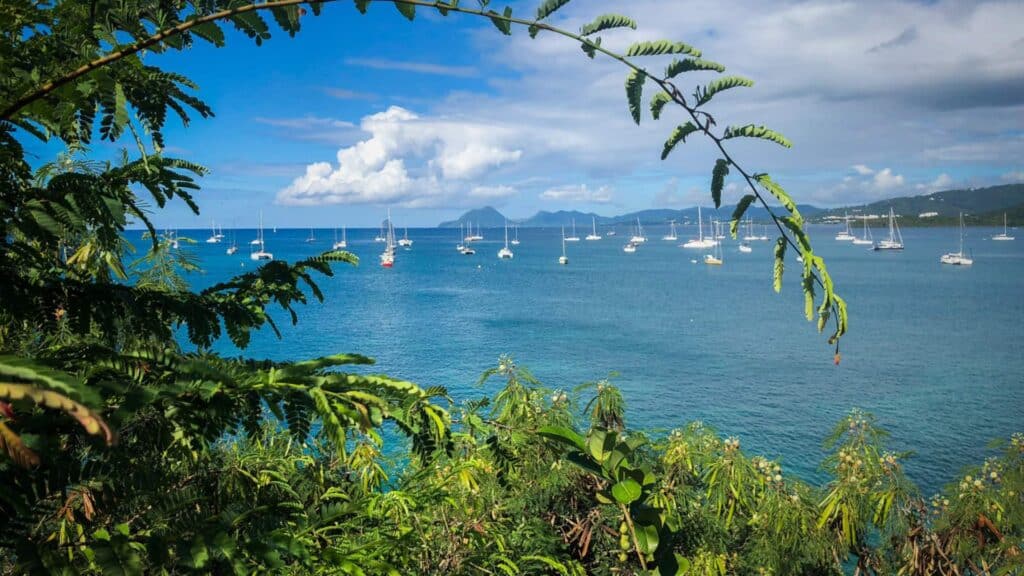 Turquoise Caribbean Sea viewed through tropical foliage near hotels in Martinique in Sainte-Luce