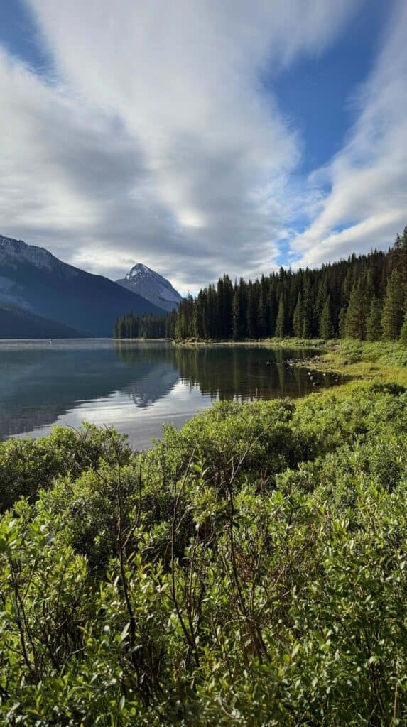 Calm shoreline of Maligne Lake with green shrubs in the foreground and still water reflecting pine trees and mountains under a cloudy sky.