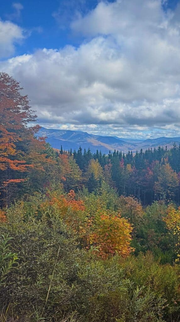 Layers of fall color stretch across the White Mountains under a cloudy sky
