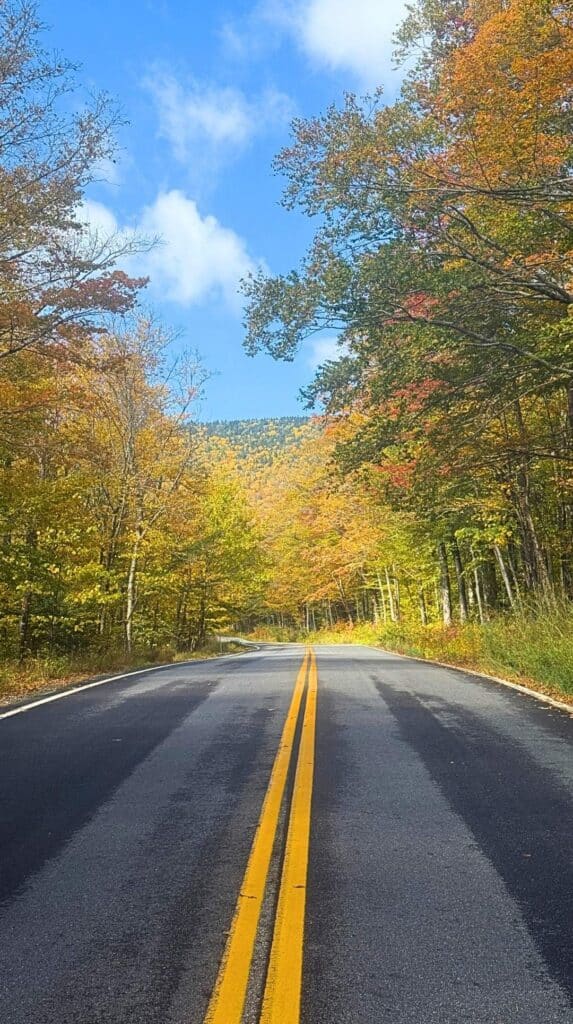 A New England fall foliage road trip drive down a tree-lined two-lane road
