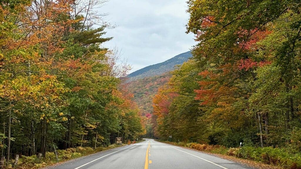 Fall foliage lines a straight stretch of road through the Green Mountains
